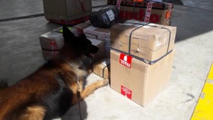 Equivaldrían a más de tres millones de pesos