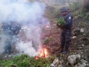 El hecho en inmediaciones de San Mateo Yucutindoó, agencia municipal de Villa Sola de Vega