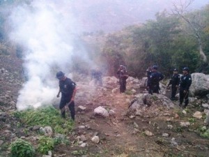 Los seis plantíos en San Mateo Yucutindoó