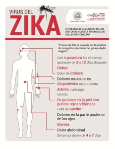 Reiteran a la población recomendaciones