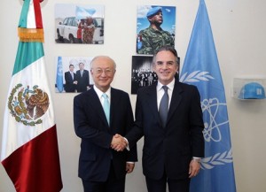 Director General del OIEA - Subsecretario