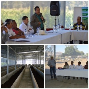 Generarán empleos directos e indirectos