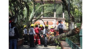 Pide Defensoría a Protección Civil