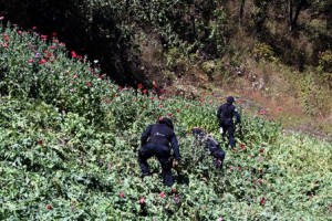 Personal de la corporación ingresó a las inmediaciones del poblado de Papaxtla.