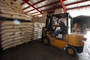 Distribuyen alimentos de primera necesidad