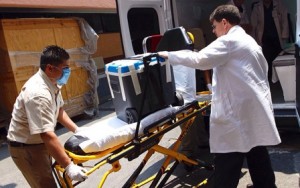 Realizan pruebas de compatibilidad de los riñones a fin de elegir a candidatos idóneos.