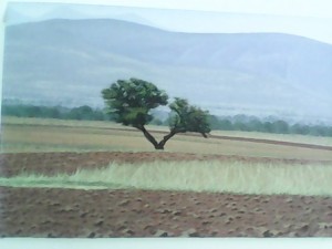 Obra del artista plástico Israel Nazario