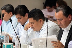 El Consejo General aprobó lineamientos para la asignación de diputaciones y regidurías.