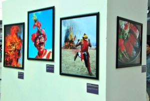 Se promueve el fomento, apreciación y cultivo de las artes visuales en todas sus vertientes.