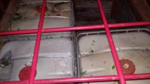 Estaban en una camioneta abandonada