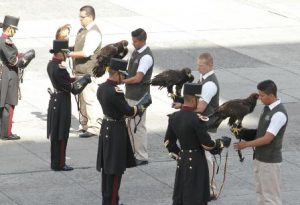 Las recibe el Heroico Colegio Militar