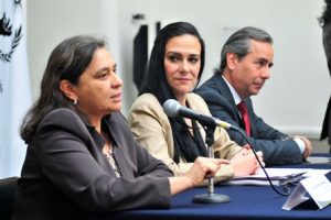 Presentó la metodología de la plataforma, su descripción y sus primeros resultados.