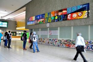 VII Reality show pictórico