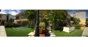 Movimiento magisterial