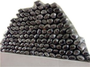 Erab transportados en un autobús