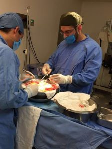 Solicitan impulsar acciones