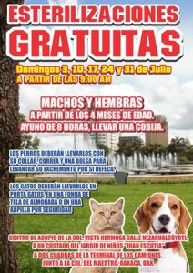 Atienden a perros y gatos