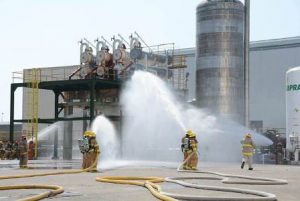 Viernes 8 de julio de 2016
