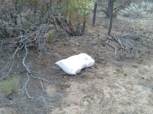 Inhabilitan pista clandestina