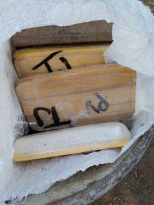 De los hechos se informó a la Agencia del Ministerio Público de la Federación.