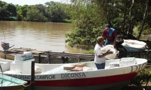 Abasto alimentario en Palizada, Campeche