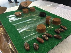 Primer lugar en la categoría de “Productos agroindustriales no convencionales a partir del agave”.