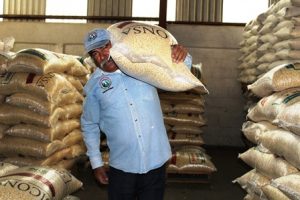Fortaleza y liderazgo del trabajador comunitario
