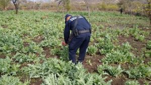 En Ejutla de Crespo, Oaxaca