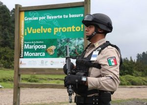 Aseguran dos mil 837 metros cúbicos de madera.