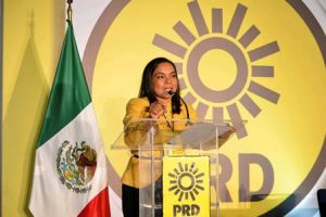 Mojica Morga dijo que el recorte presupuestal tiene claras dedicatorias políticas.