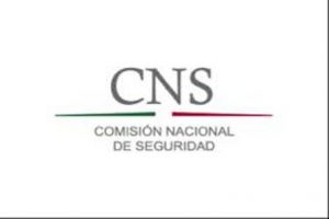 Detienen a nueve presuntos plagiarios