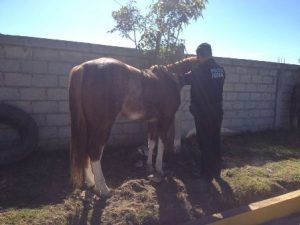 Los primeros resultados se dieron en el kilómetro 56+000 de la carretera El Seco-Azumbilla.