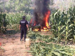 En San Pedro Totolapan