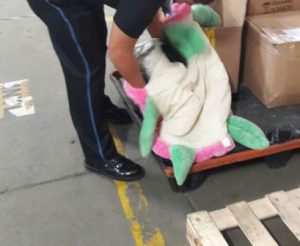 La droga fue detectada por binomios caninos