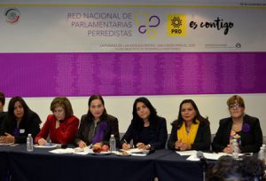 Presidenta del CEN del PRD