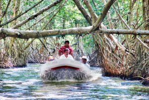 Reserva territorial en Chiapas