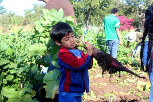 Para la Noche de Rábanos, se montarán 120 stands alrededor de la Plaza de Constitución.