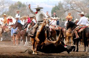 Patrimonio Cultural Inmaterial de la Humanidad