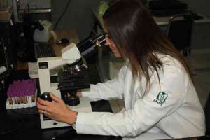 Día Internacional del Químico