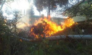Participaron bomberos