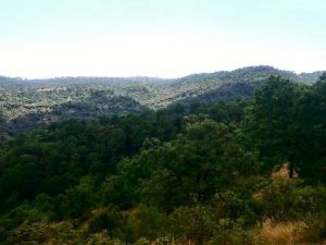 El hecho ocurrió a las 17:00 horas de este jueves