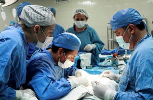 Realizan especialistas del IMSS