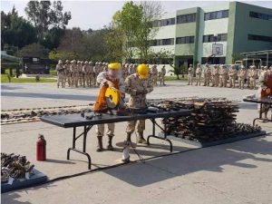 Decomisadas en diversos estados