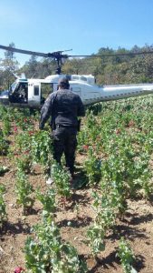 En Santo Domingo Tepuxtepec