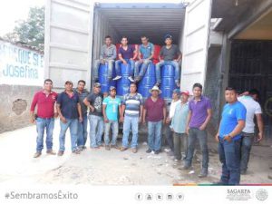 Crecen las exportaciones