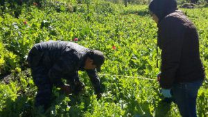 Santo Domingo Tepuxtepec, Oaxaca