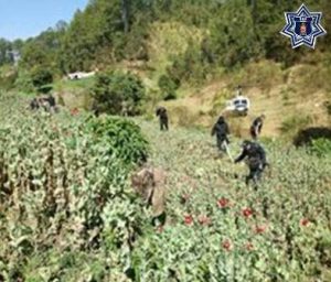 En Santa María Zaniza, Sola de Vega