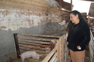 Supervisan proyectos