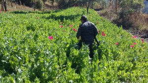 Santiago Textitlán, Sola de Vega