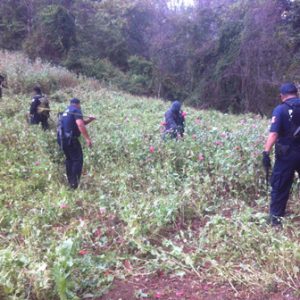 En Santiago Textitlán